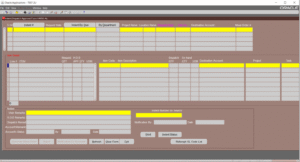 System Based (Auto) Indent Form Store2 300x162